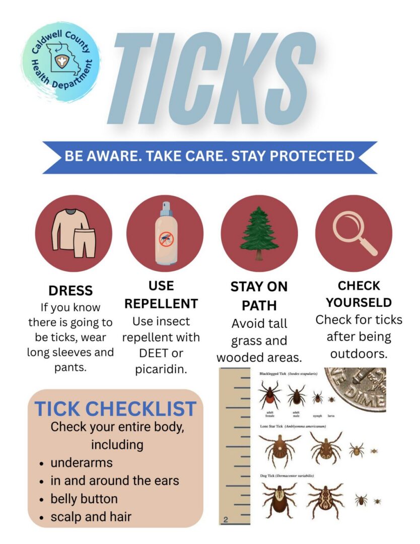 ticks